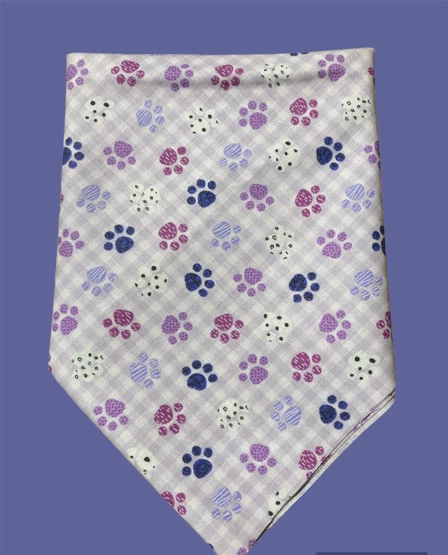 Retail-Ready Paws and Bones Bandanas 4 Pack